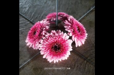 TTH- 山本彩、ロックな新曲「共鳴」配信決定