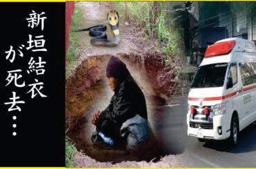 新垣結衣の突然の“訃報”…新垣結衣が“事故”で“死去”の真相…