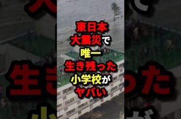 ㊗️80万回再生‼︎【つよすぎる‼】東日本大震災で唯一生き残った小学校がヤバい‼︎