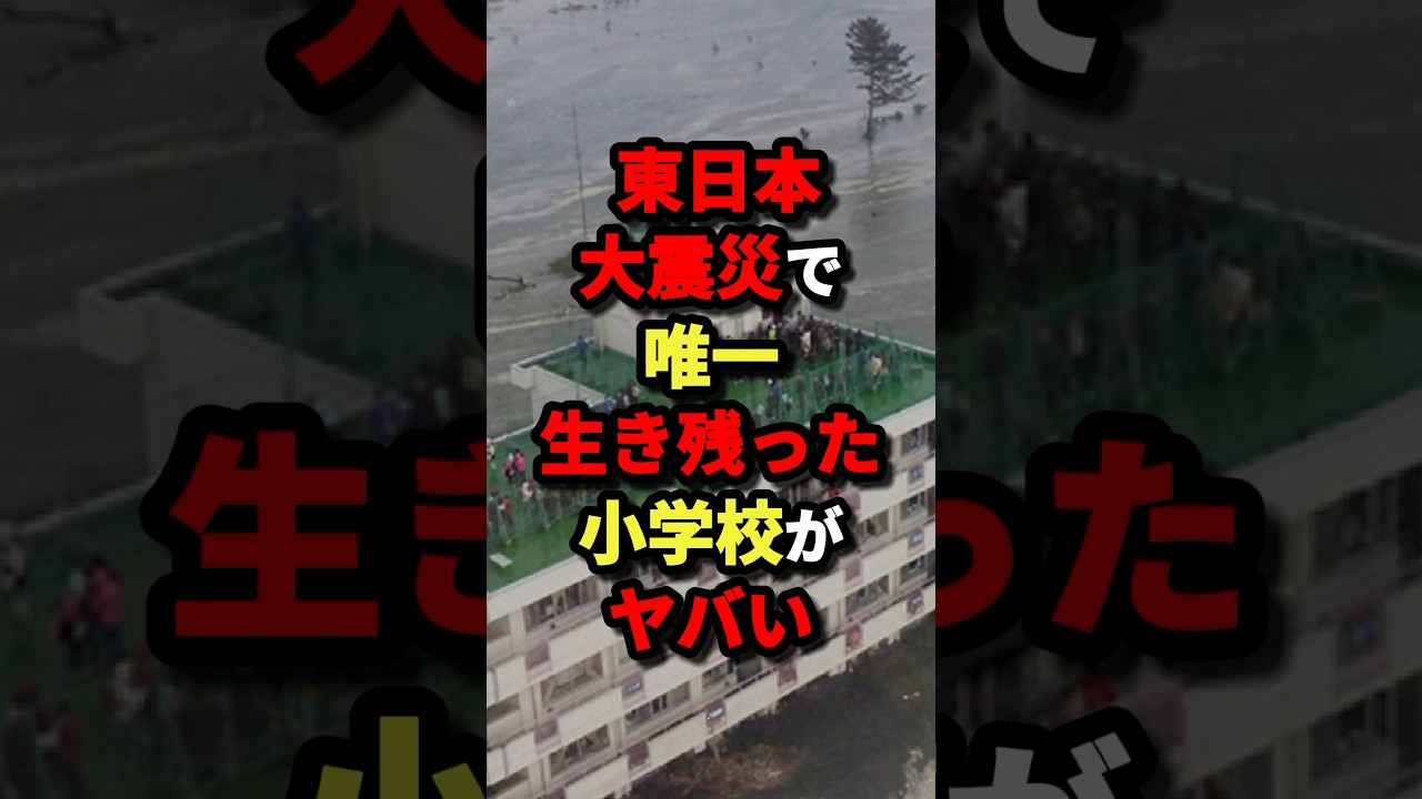 ㊗️80万回再生‼︎【つよすぎる‼】東日本大震災で唯一生き残った小学校がヤバい‼︎ ㊗️80万回再生‼︎【つよすぎる‼】東日本大震災で唯一生き残った小学校がヤバい‼︎