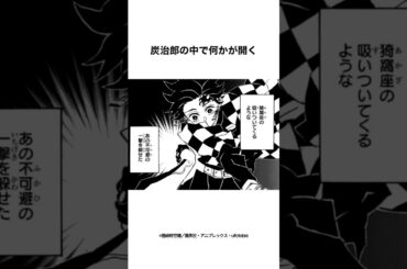 透き通る世界が見え始めた炭治郎 #鬼滅の刃 #ネタバレ注意 #無限城編 #漫画 #映画
