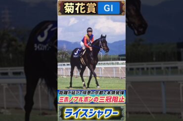 【過去の菊花賞プレイバック】漆黒のステイヤーライスシャワーがミホノブルボンの三冠阻止！【菊花賞1992】#競馬 #競馬予想 #菊花賞  #short #shorts #JRA