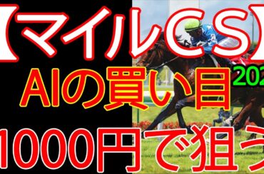 マイルチャンピオンシップ2025 | 1000円で何を買う？AI×過去10年が出した結論