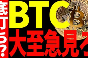 ⚠️大至急見て⚠️ビットコインの底打ちが近い⁉今後の最新戦略を教えます！