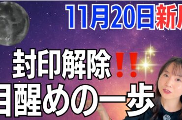 【11月20日🌚新月】いよいよ、心の封印を解くとき✨もう二度と忘れない！“本当の自分”を心に刻む／星読みでみる新月のメッセージ