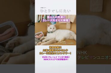 【特典映像】「ひとりでしにたい」｜綾瀬はるか主演・終活コメディ【DVD&ブルーレイ発売中】