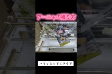 #クレーンゲーム #攻略 #スパイファミリー #アーニャ #アーニャピーナッツが好き  クレーンゲーム 攻略  TikTok