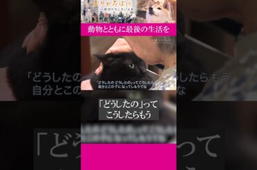 特別養護老人ホーム「加賀屋の森」では高齢者たちが、犬や猫と一緒に暮らしています。動物とともに最後の生活を｜#いおりがそばに#ドキュメンタリー #ザ・ドキュメント#shorts