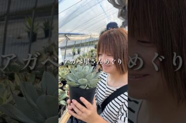 あやの休日！アガベ屋さんめぐり