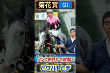 【過去の菊花賞プレイバック】BNWの最期の一角ビワハヤヒデ！メンコを外し覚醒！【菊花賞1993】#競馬 #競馬予想 #菊花賞  #short #shorts #JRA