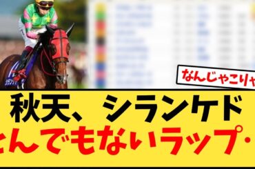 【天皇賞秋】秋天、シランケドとんでもないラップ…【競馬反応集】
