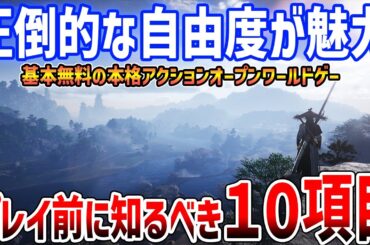 【先行プレイ】本格アクション新作オープンワールドMMOがやばい、プレイ前に見るべき１０項目、序盤知っておきたかったこと【風燕伝：Where Winds Meet】