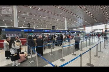 日本への渡航自粛から1週間　中国人観光客から懸念の声(2025年11月22日)