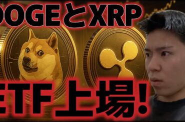 リップルとドージコイン現物ETFが来週上場だ！！ビットコインは今後上昇ターンは来るのか？？