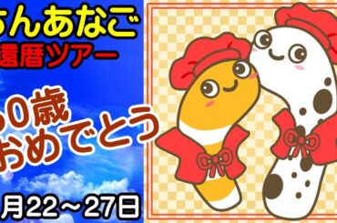 ちんあなご　還暦ツアー　６０歳おめでとう　１１月２２日~２７日【ちんあなご’＆女将さん】