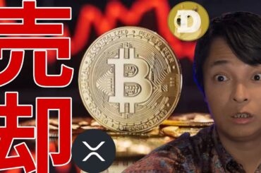 ビットコインついに売却！仮想通貨リップルとドージコインに進展！