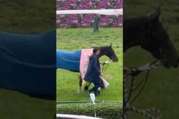 第85回桜花賞🌸🏇🌸優勝🏆エンブロイダリーさん(2025/04/13)阪神競馬場