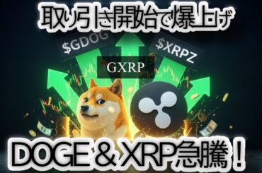 【本日ローンチ】XRP ETF出来高3000万ドル予測！DOGE ETFも始動で「リップル＆ドージコイン」同時暴騰か？【仮想通貨|フランクリン|グレースケール】