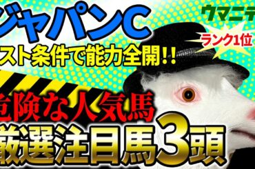 【ジャパンカップ2025】先週マイルCS◎○馬連1点勝負で的中！「霧プロ」の厳選注目馬＆危険な人気馬を特別公開！