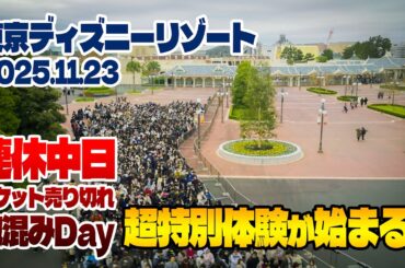 超豪華!! プライベートVIPツアーに参加  |  東京ディズニーリゾート