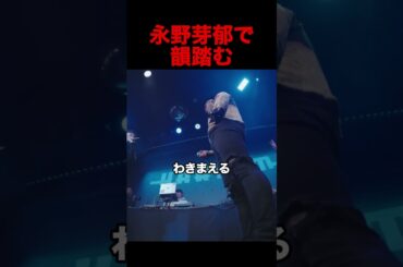 永野芽郁で韻踏む
