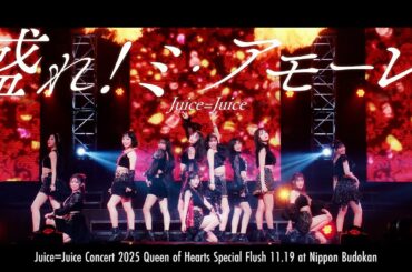 Juice=Juice『盛れ！ミ・アモーレ』(Concert 2025 Queen of Hearts Special Flush)