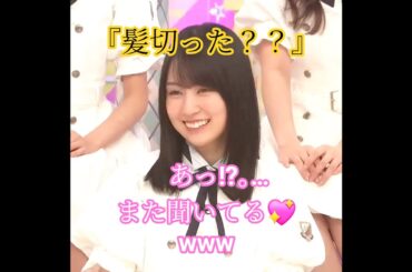 『乃木坂工事中🚧､全国ツアー裏でも表でもこんなことありました♪』バナナマン恒例の､髪を切ったメンバーを探す件♪｡…#乃木坂46 #乃木坂工事中 #shorts