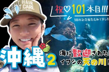 【沖縄】イワシと遊ぶ【動画投稿100本】