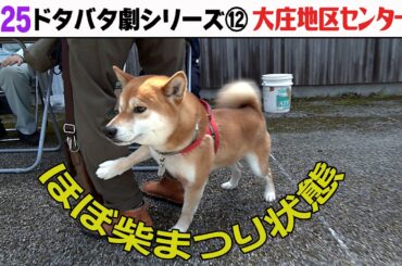 2025狂犬病予防注射会場のドタバタ劇⑫ 大庄地区センター編