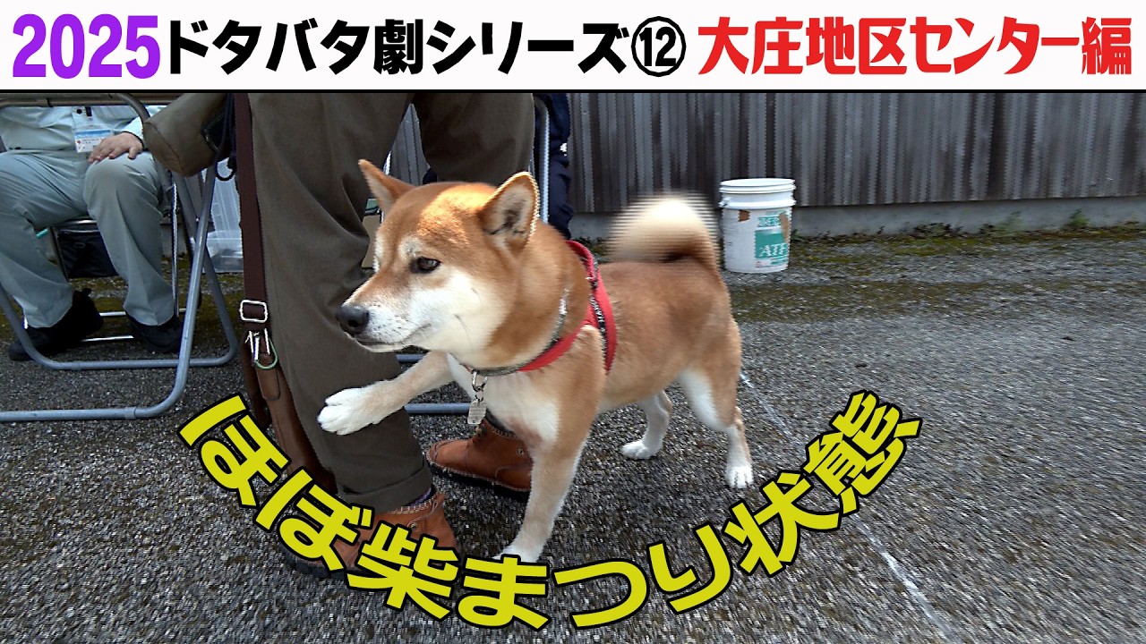 2025狂犬病予防注射会場のドタバタ劇⑫ 大庄地区センター編 2025狂犬病予防注射会場のドタバタ劇⑫ 大庄地区センター編