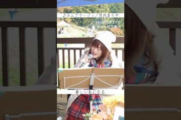 #ドラマ主題歌 #ワイナリーライブ #カムフラージュ #竹内まりや #cover