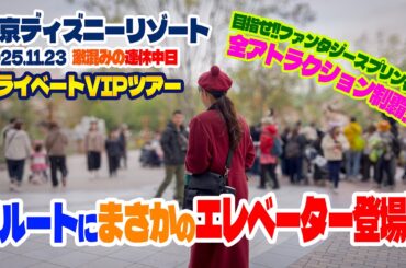 超豪華!! プライベートVIPツアーに参加 Vol.3  |  東京ディズニーリゾート