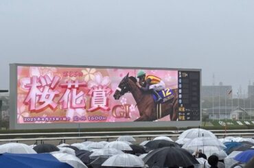 【マジックマン】2025年 桜花賞 エンブロイダリー 現地映像 ファンファーレ〜ウイニングランまで