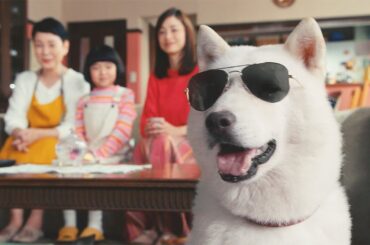 上戸彩＆永尾柚乃、“お父さん”にサングラスをプレゼント　まるで映画スター！？　ソフトバンク新CM「白戸家 お父さんスターになる」編