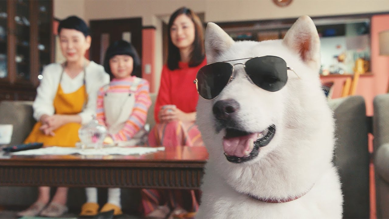 上戸彩&永尾柚乃、“お父さん”にサングラスをプレゼント まるで映画スター!? ソフトバンク新CM「白戸家 お父さんスターになる」編 上戸彩&永尾柚乃、“お父さん”にサングラスをプレゼント まるで映画スター!? ソフトバンク新CM「白戸家 お父さんスターになる」編