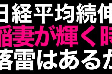 🌟2025/11/27 速報🌟【日経平均】続伸📈今夜の米国休場は運が良い❓信用評価損益率-8.66日本株の行方💹