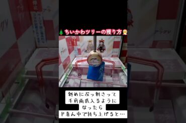 #クレーンゲーム #攻略 #末広がり #ちいかわ #クリスマス  クレーンゲーム 攻略  TikTok