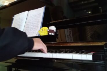 『マジック/IT'S MAGIC/イッツ・マジック/MAGIC』『T-SQUARE/THE SQUARE』『安藤まさひろ/安藤正容』『ラ・フロール橋本/la Flore』ストリート・ピアノ