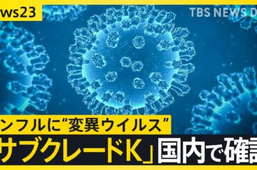 インフルエンザ“警報レベル”の急拡大　変異ウイルス「サブクレードＫ」国内で確認　ワクチン効果は？【news23】｜TBS NEWS DIG