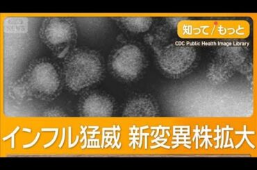 インフルエンザのピーク早まる　新変異株「サブクレードK」拡大　胃腸にも症状【知ってもっと】【グッド！モーニング】(2025年11月26日)