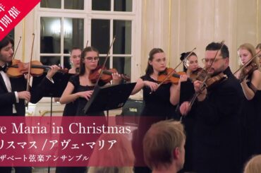 【2025年12月開催】クリスマス/アヴェ･マリア-エリザベート弦楽アンサンブル-　PV3
