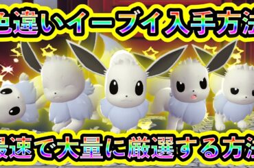 【ポケモンZA】色違いイーブイを大量に最速でGETしまくれる最強の厳選方法を紹介！【ポケモンレジェンズZA】