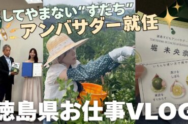 ついに...すだちアンバサダーに就任しました🪽💫徳島vlog/就任式/収穫体験/うだつの町並み/阿波踊り