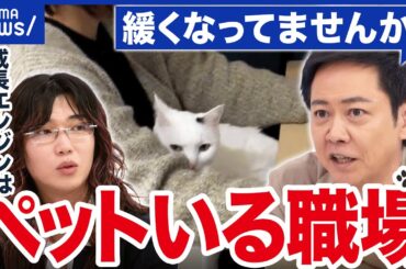 【職場にペット】求人10倍の企業も…癒し？集中できる？動物と働くメリットは｜アベプラ
