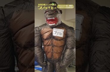 『#フェイクマミー』第7話メイキング🎬公認キャラクター??ゴリジローの一日🦍 #波瑠 #川栄李奈 #向井康二 #中村蒼 #笠松将 #田中みな実 #野呂佳代 #橋本マナミ #中田クルミ