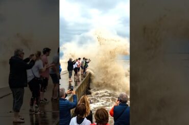 Desperate People Tsunami Close up! 🌊 津波パニック絶望！ 절망적인 쓰나미 클로즈업!