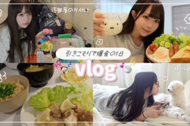 家から1歩も出ず食べて好きな事をする1日vlog🏠🎶1人でも24時間楽しめます♡♡♡