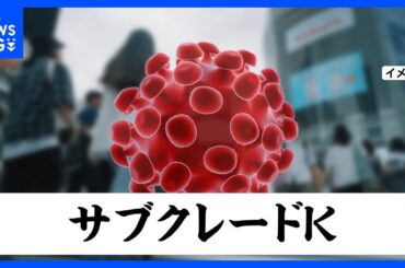 新たな変異ウイルス「サブクレードK」　インフルエンザ今年の流行は10年間で最大規模の可能性｜TBS NEWS DIG