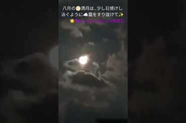 #満月#渡月橋#コナン#主題歌#倉木麻衣#神秘#美しい#ショート#無言ねこ