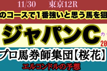 エルコンドル氏のジャパンカップ2025予想！！3世代のダービー馬に欧州最強馬カランダガンが参戦する超豪華メンバー！誰が勝ってもおかしくない！このコースに最も合う馬を狙う！